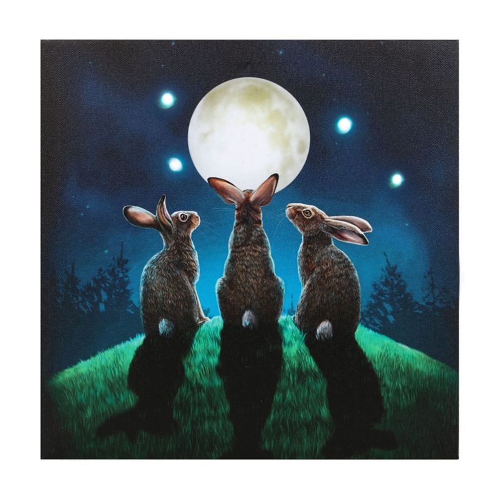 Moon Shadows Light Up Canvas Plaque by Lisa Parker